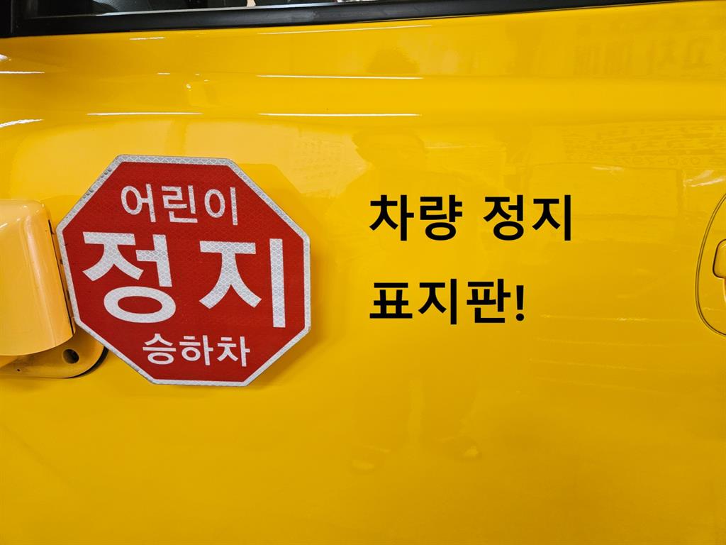 HYUNDAI Starex - Vista 6