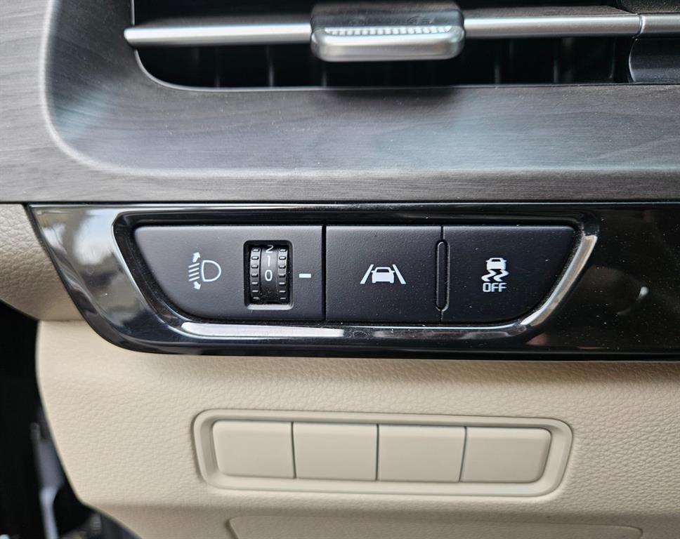 KIA Carnival - Vista 11