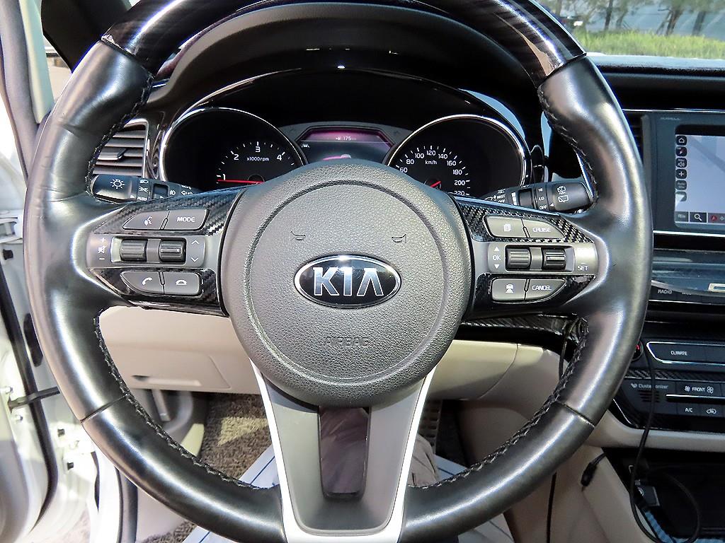 KIA Carnival - Vista 8