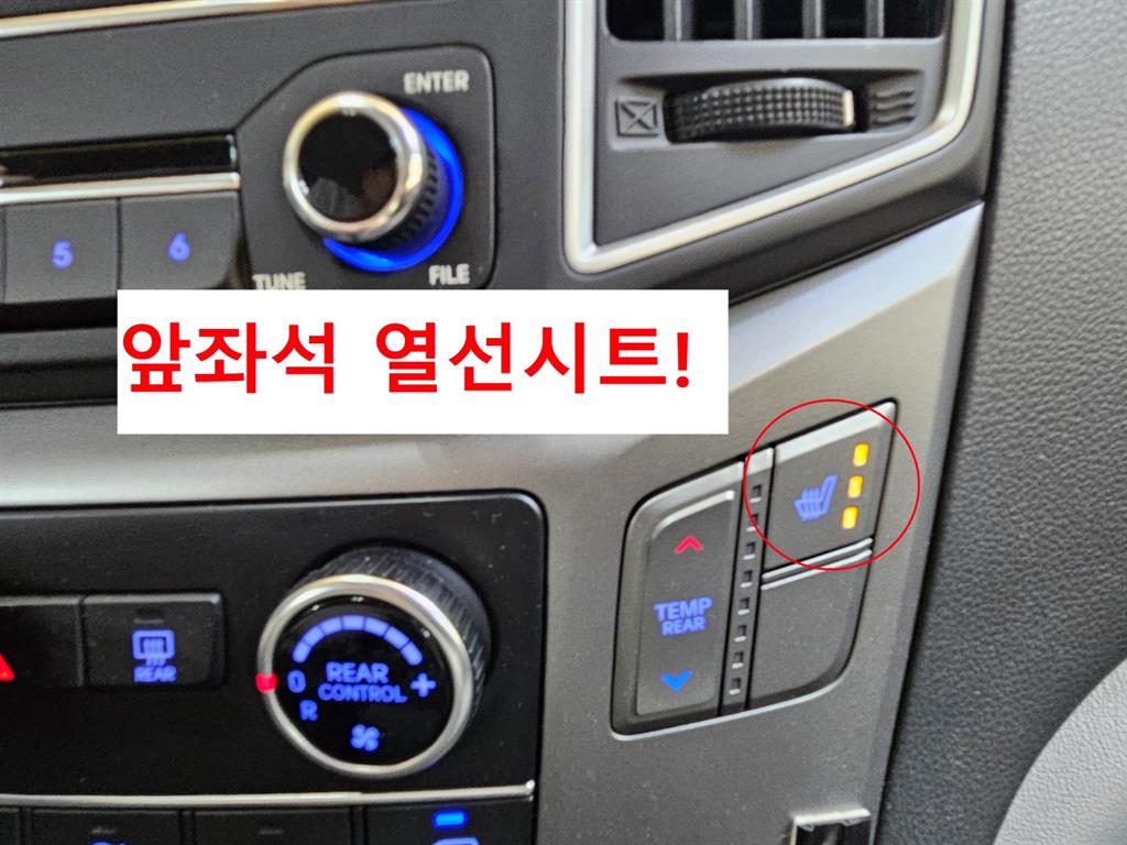 HYUNDAI Starex - Vista 10