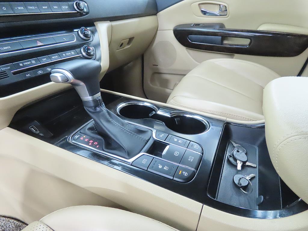 KIA Carnival - Vista 11