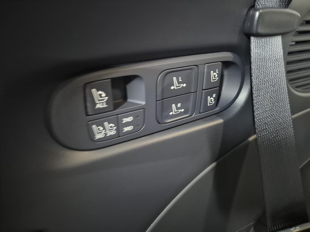 HYUNDAI Palisade - Vista 10