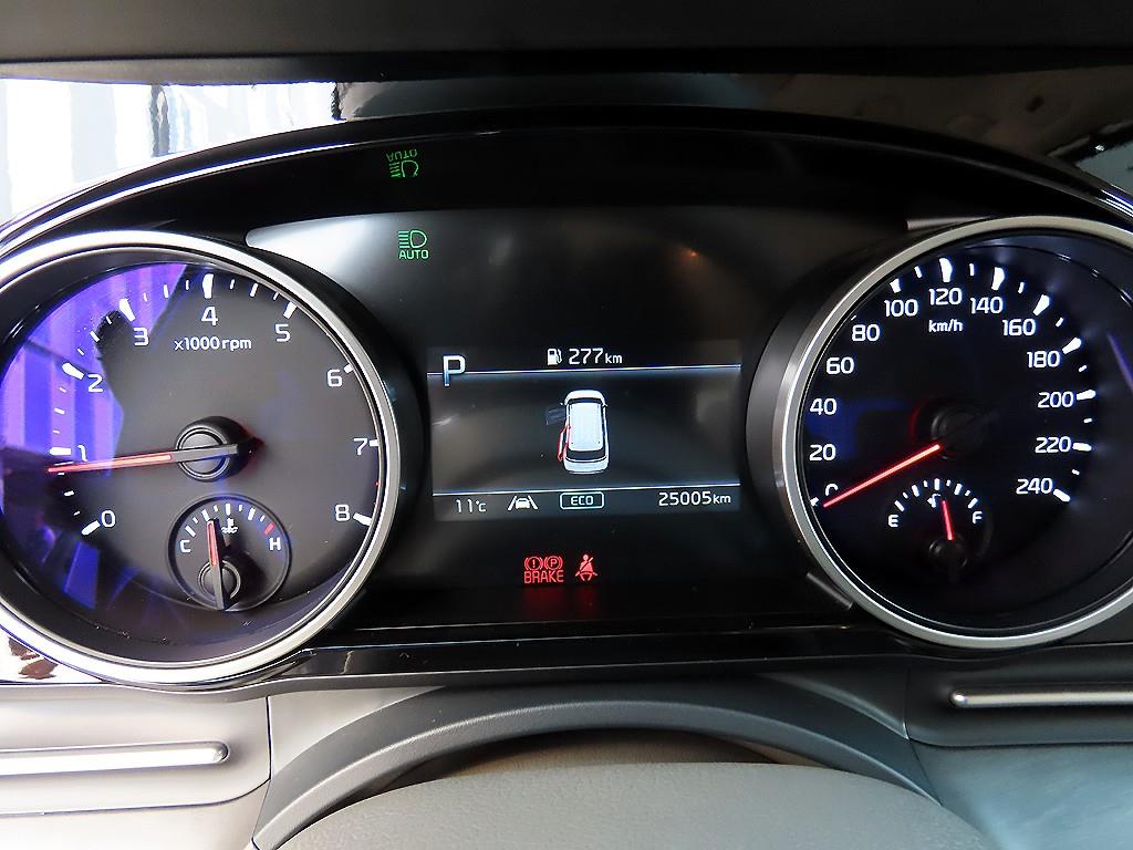 KIA Carnival - Vista 9