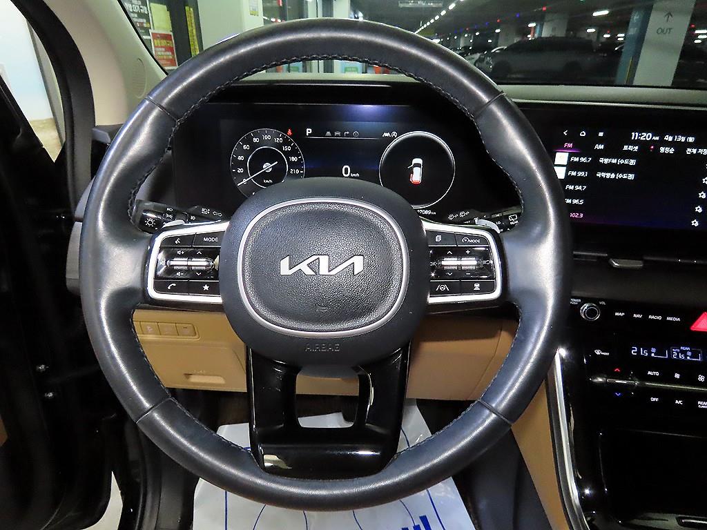KIA Carnival - Vista 8