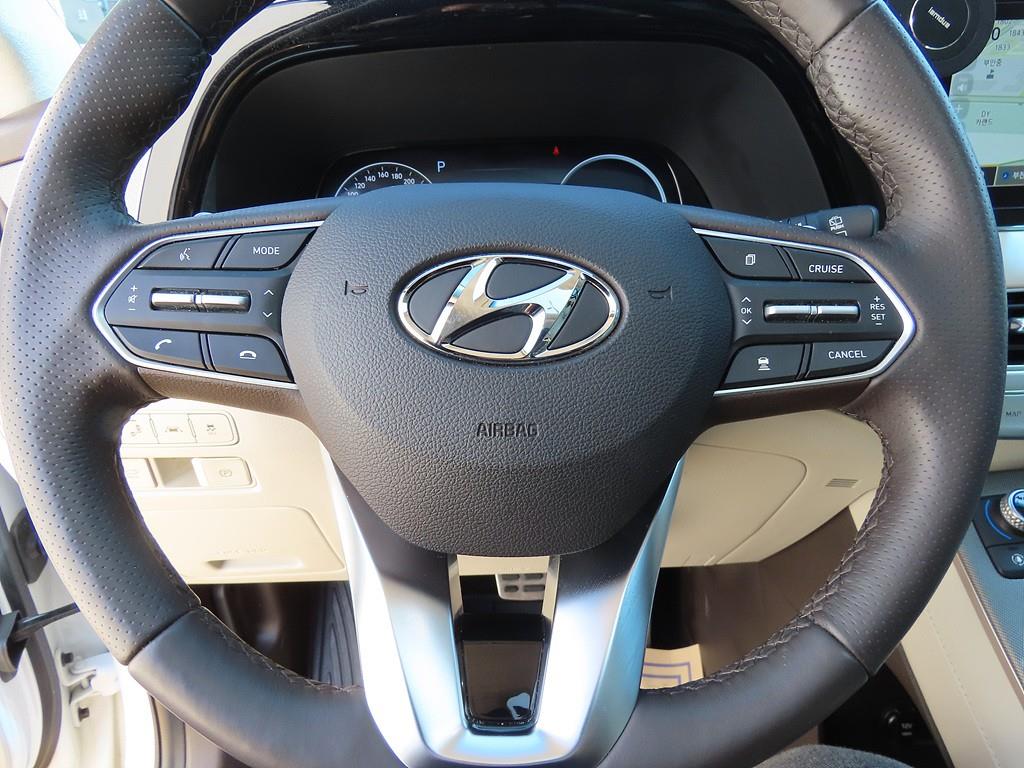 HYUNDAI Palisade - Vista 10