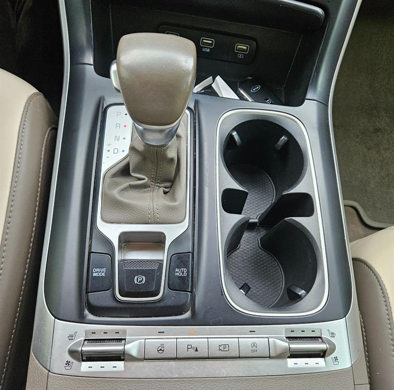 KIA Carnival - Vista 12