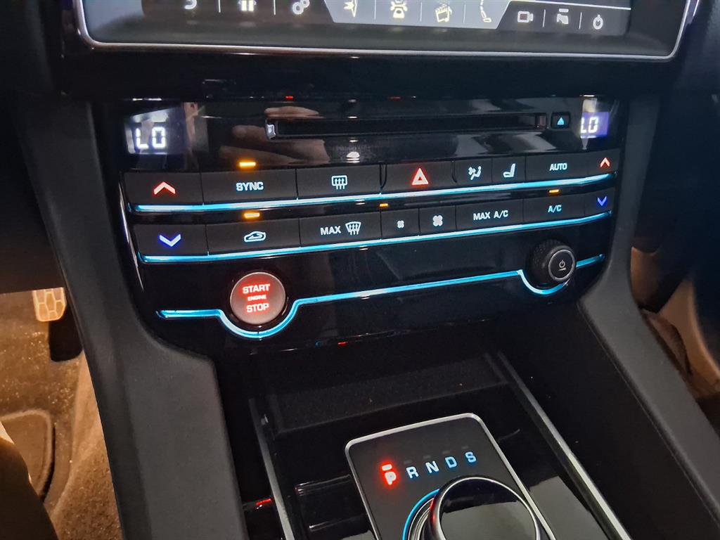 Jaguar F-PACE - Vista 10