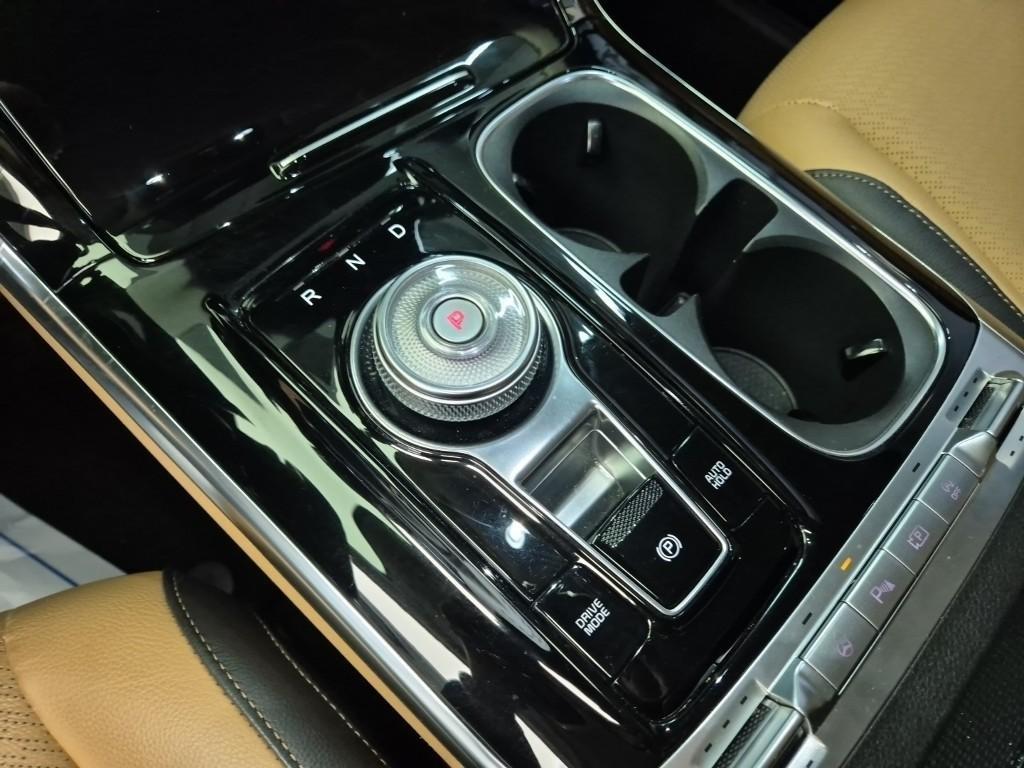 KIA Carnival - Vista 8