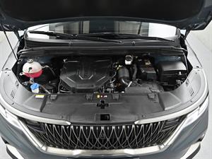 KIA Carnival - Vista 8