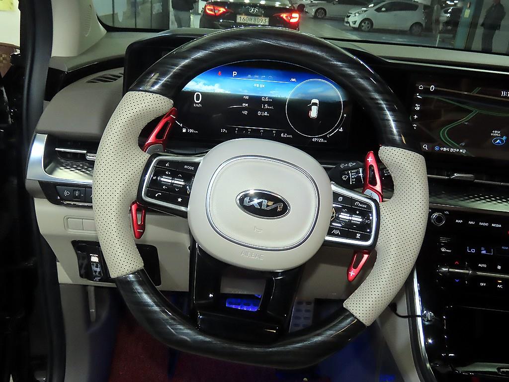 KIA Carnival - Vista 8