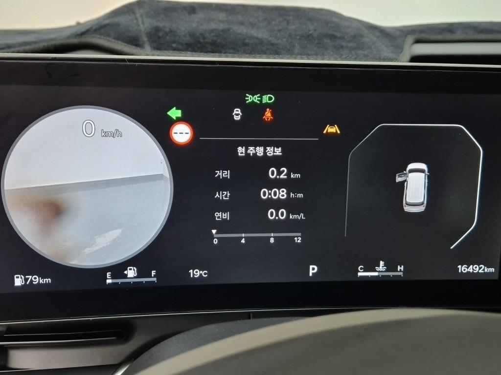 KIA Carnival - Vista 8