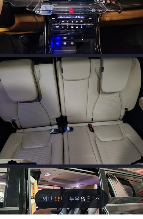 KIA Carnival - Vista 4