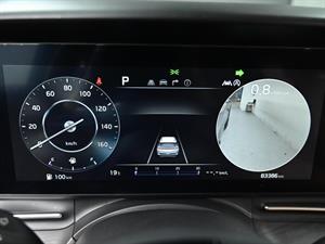 KIA Carnival - Vista 12