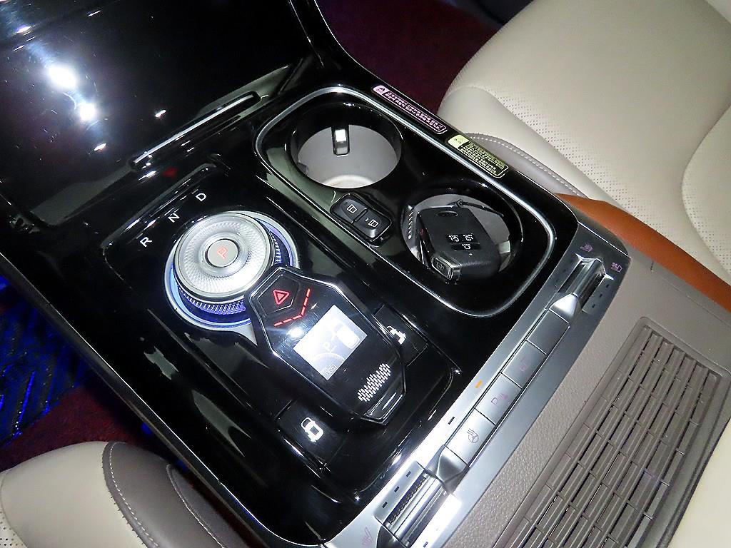 KIA Carnival - Vista 12