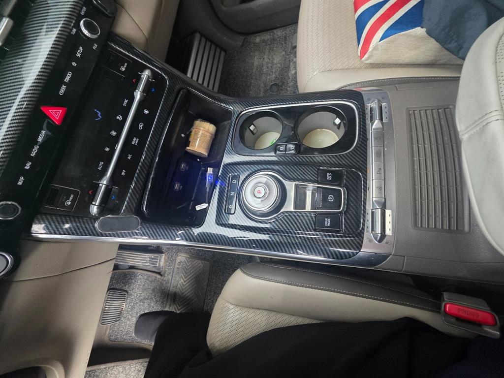 KIA Carnival - Vista 12