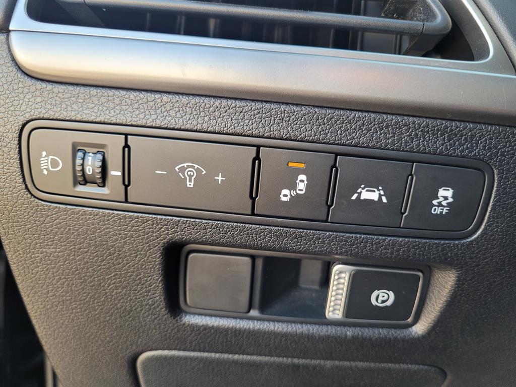 HYUNDAI Palisade - Vista 10