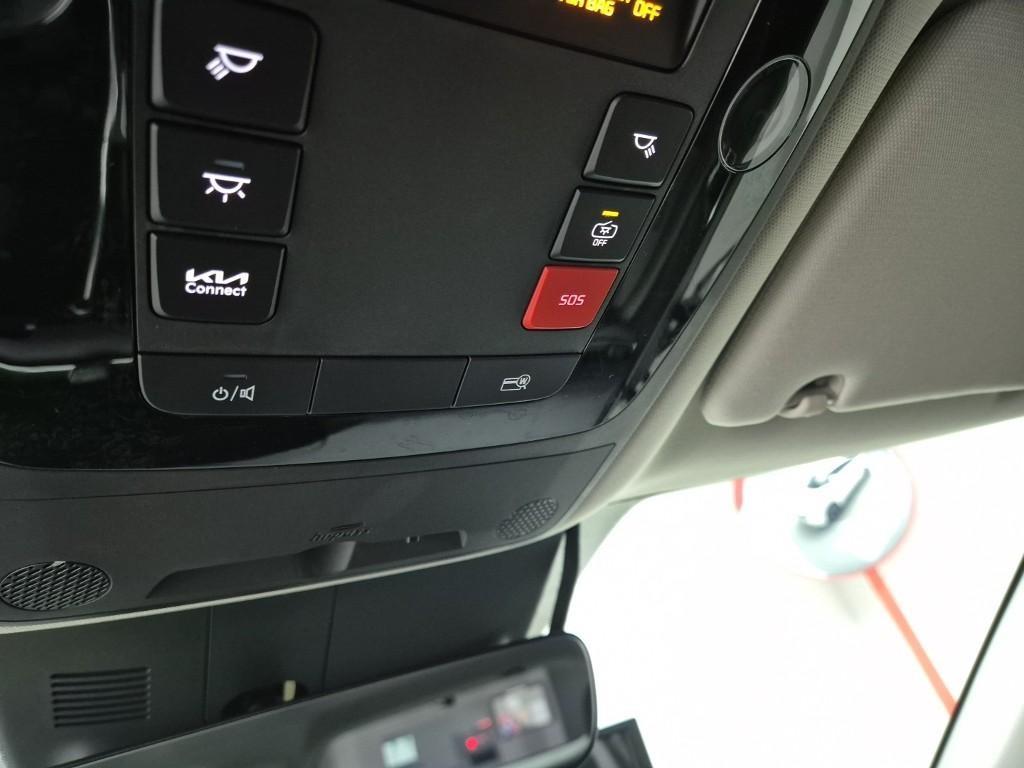 KIA Carnival - Vista 9