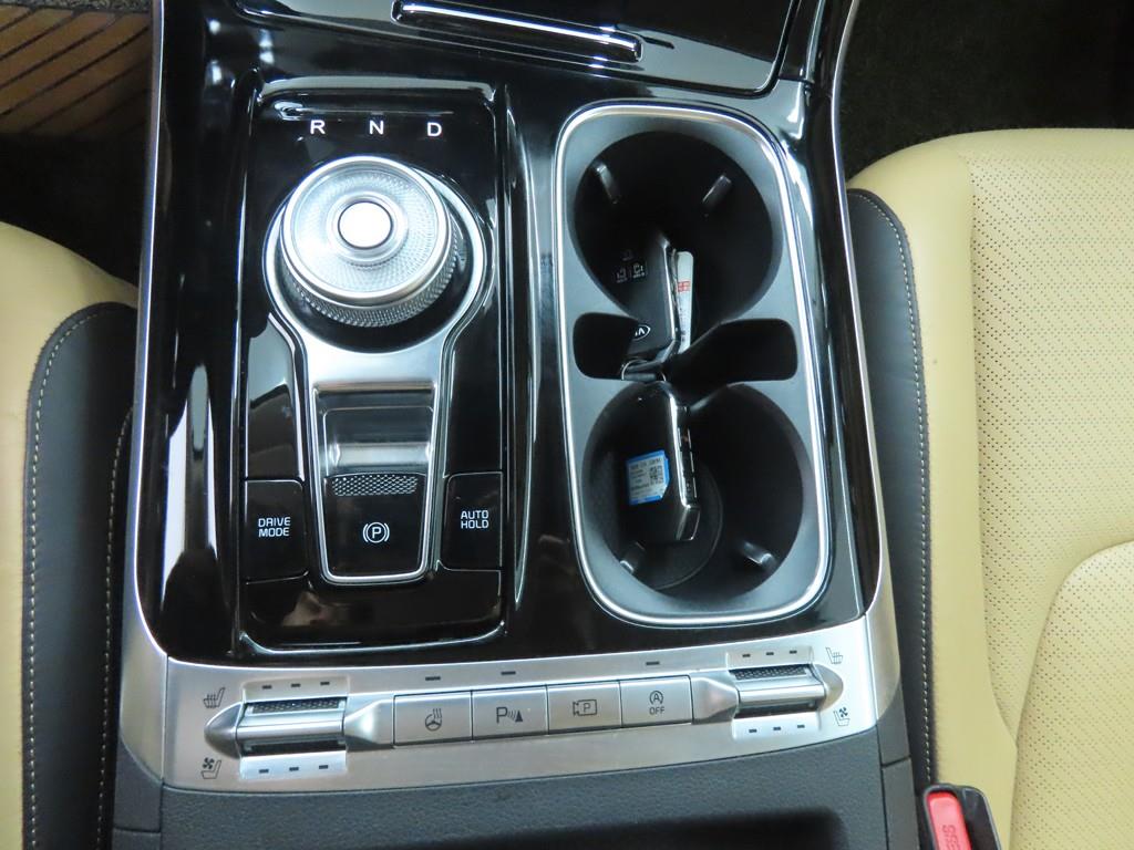 KIA Carnival - Vista 12