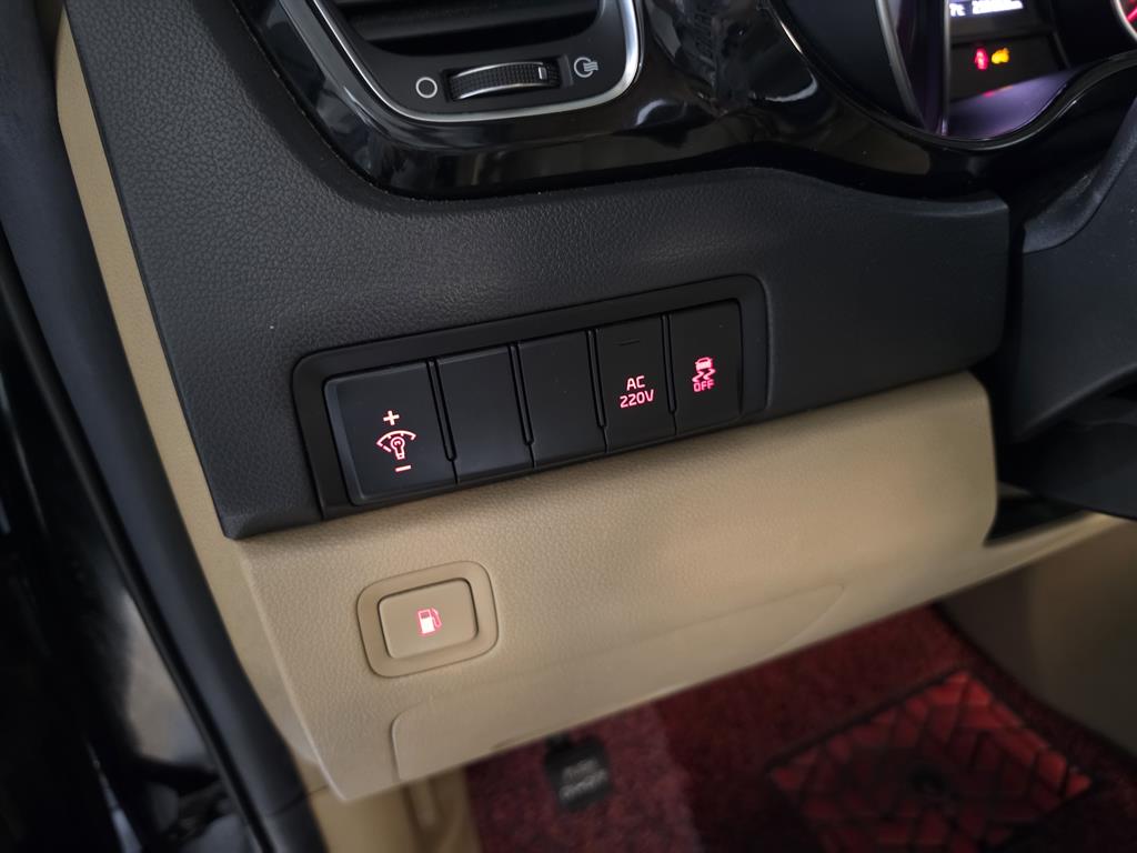 KIA Carnival - Vista 11