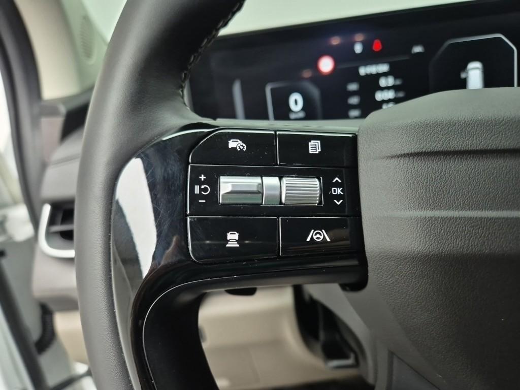 KIA Carnival - Vista 12