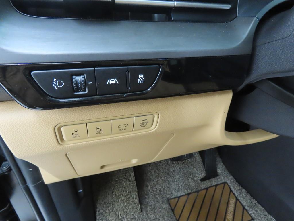 KIA Carnival - Vista 10