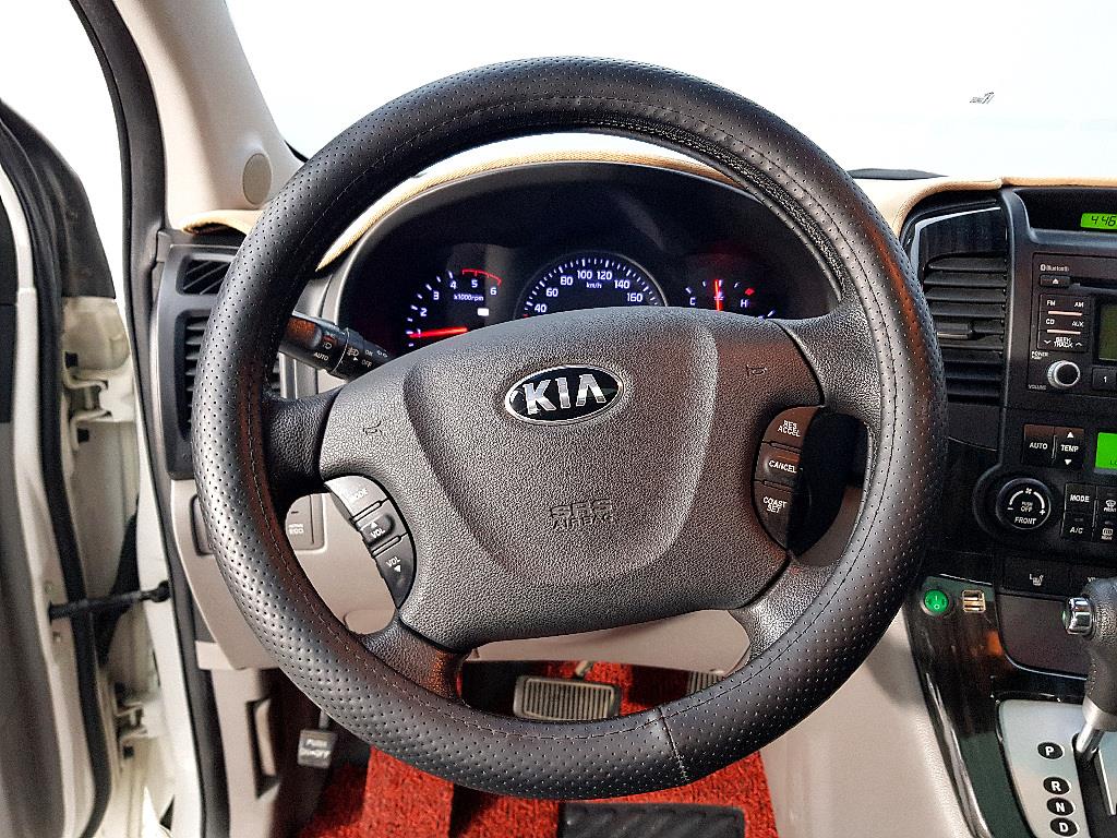KIA Carnival - Vista 12