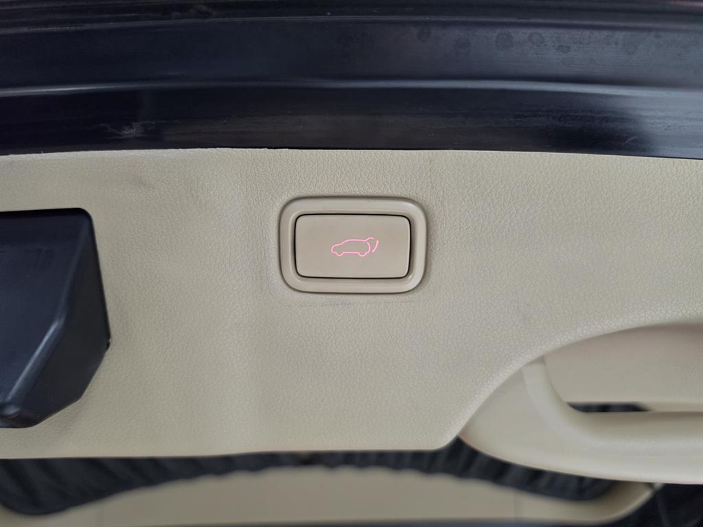 KIA Carnival - Vista 12