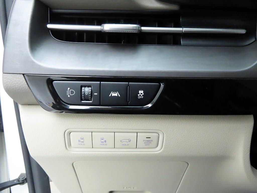 KIA Carnival - Vista 12