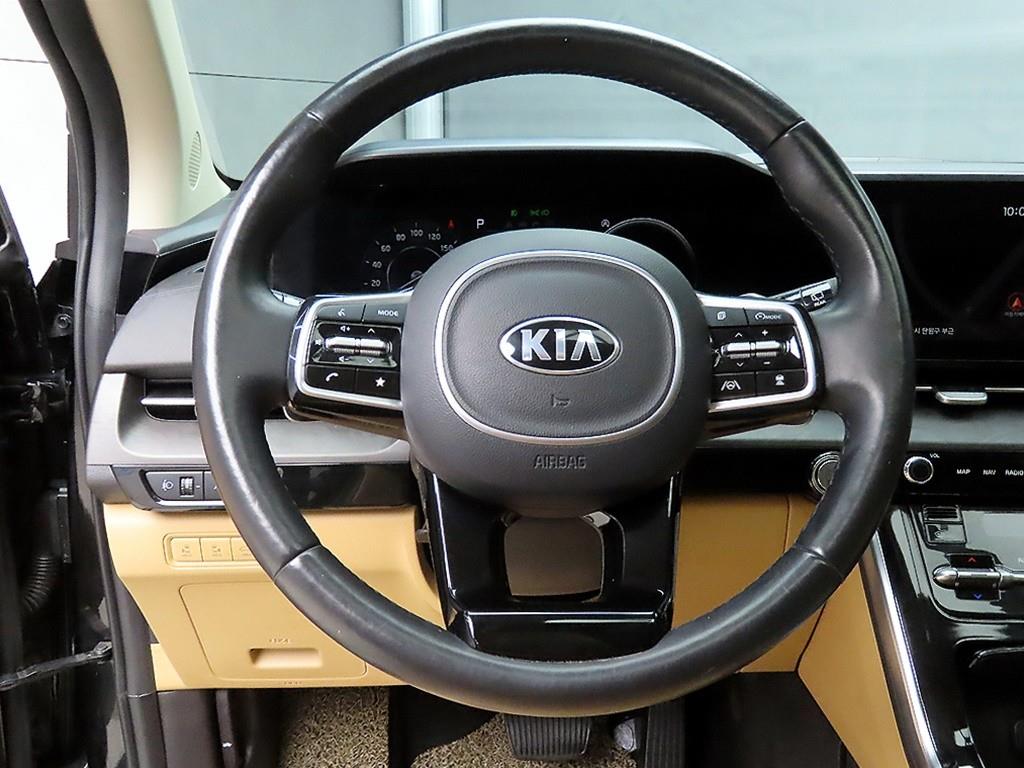 KIA Carnival - Vista 9