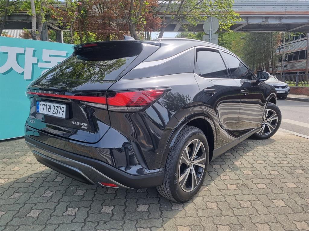 Lexus RX - Vista 3