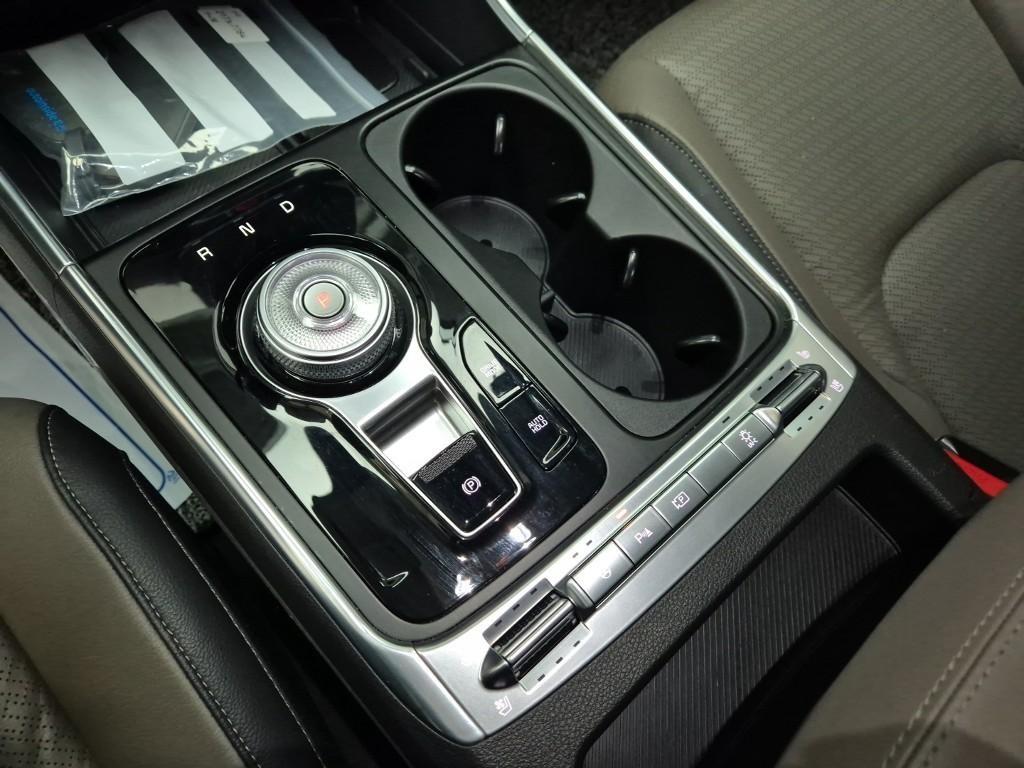 KIA Carnival - Vista 8