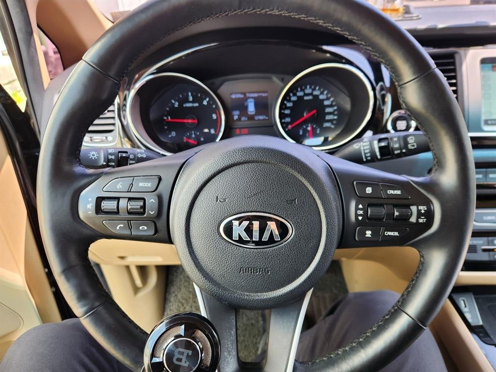 KIA Carnival - Vista 4
