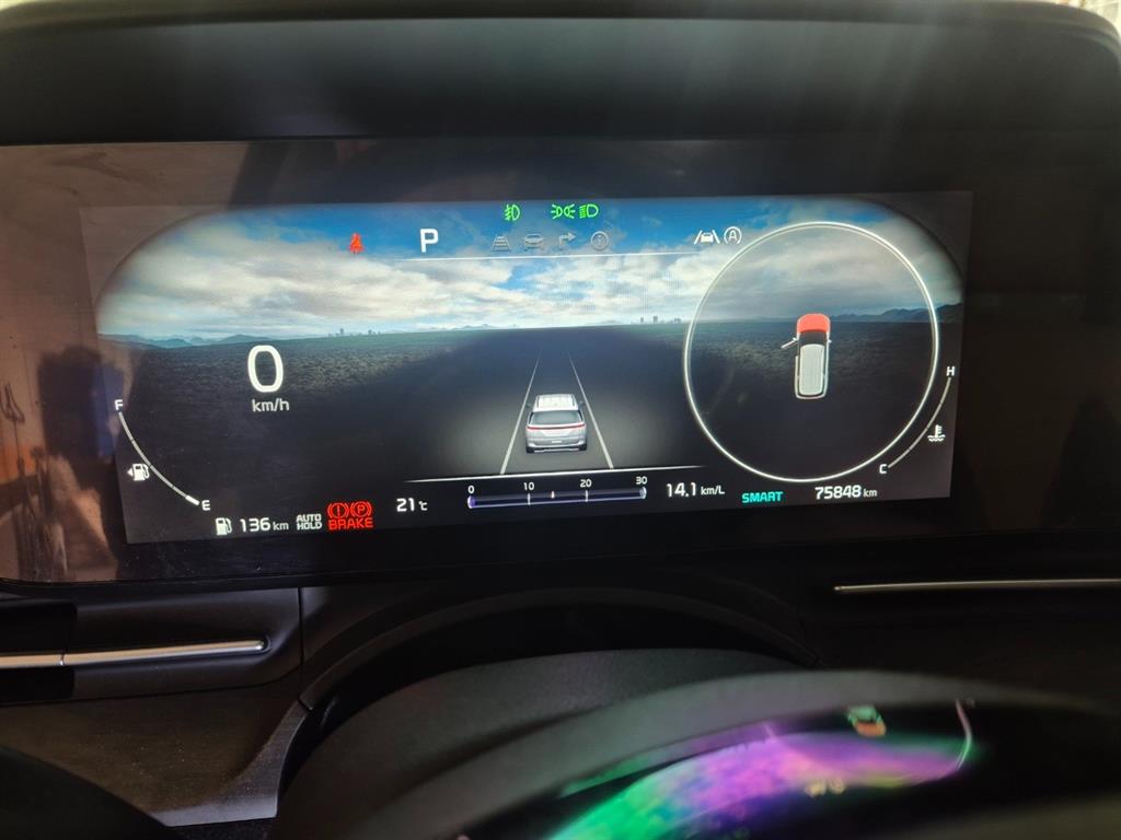 KIA Carnival - Vista 4