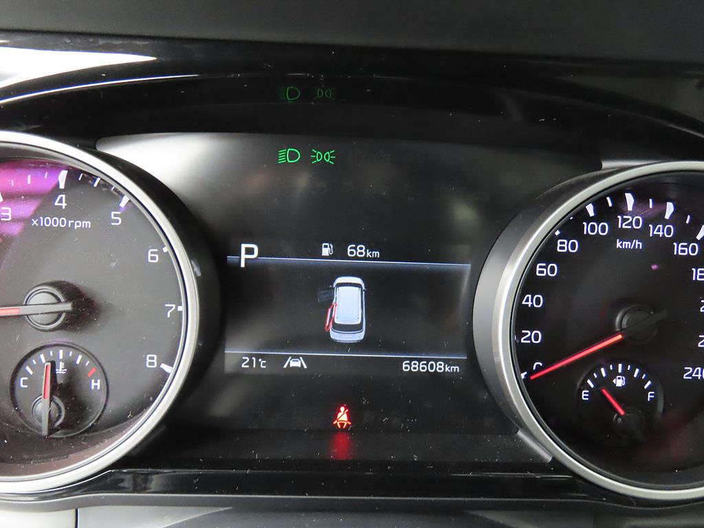 KIA Carnival - Vista 10