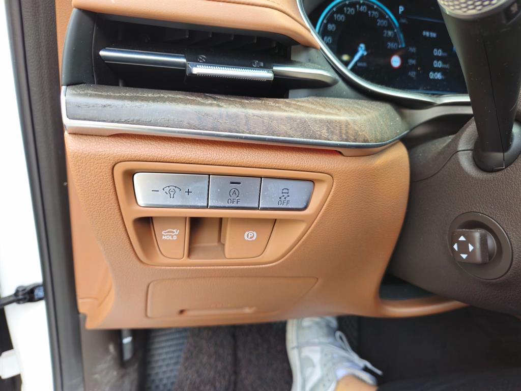 Genesis G80 - Vista 10