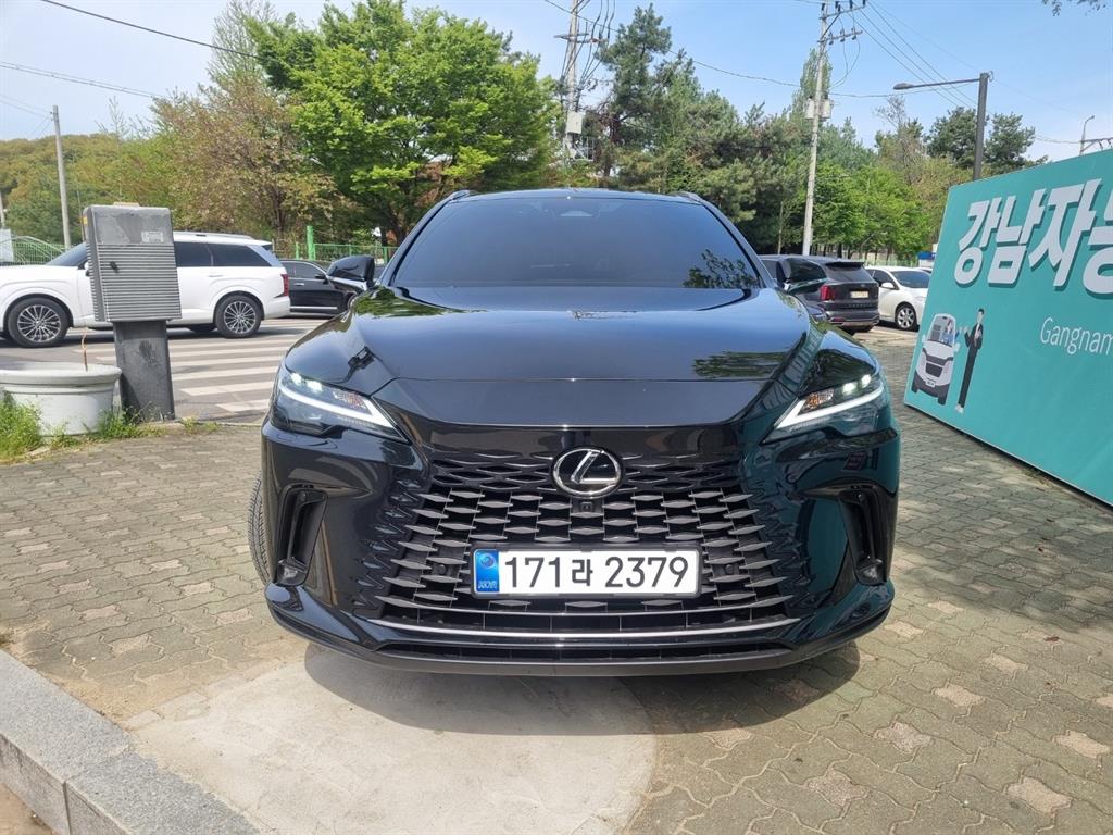 Lexus RX - Vista 2