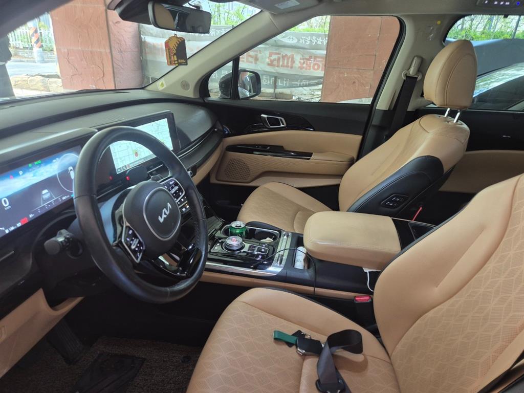 KIA Carnival - Vista 3