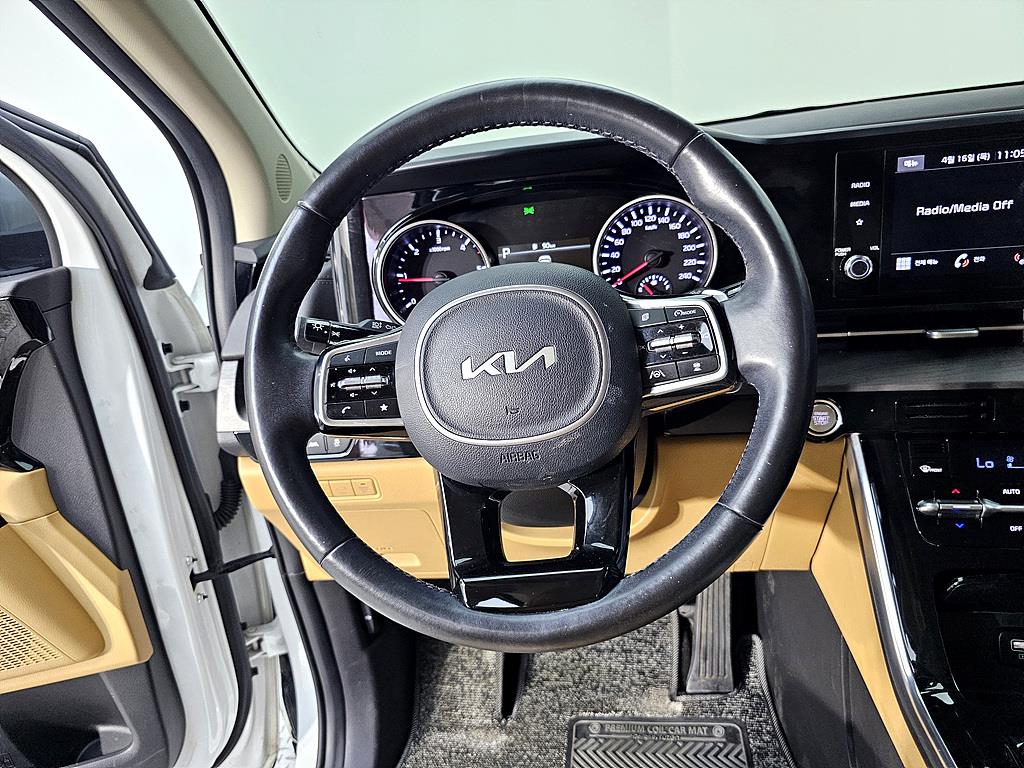 KIA Carnival - Vista 12