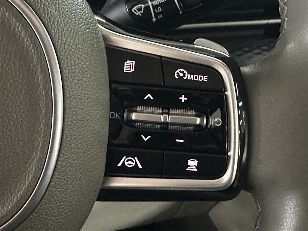 KIA Carnival - Vista 11