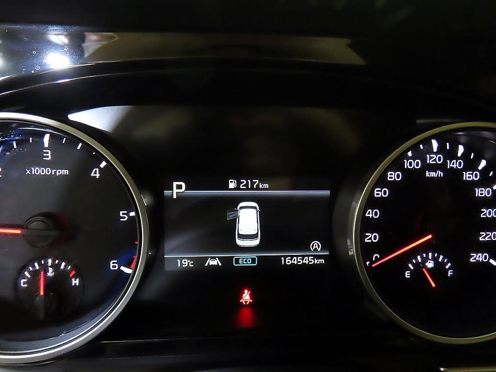 KIA Carnival - Vista 9
