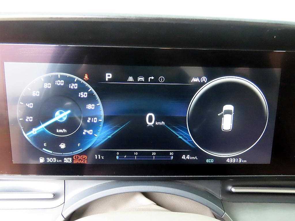 KIA Carnival - Vista 8