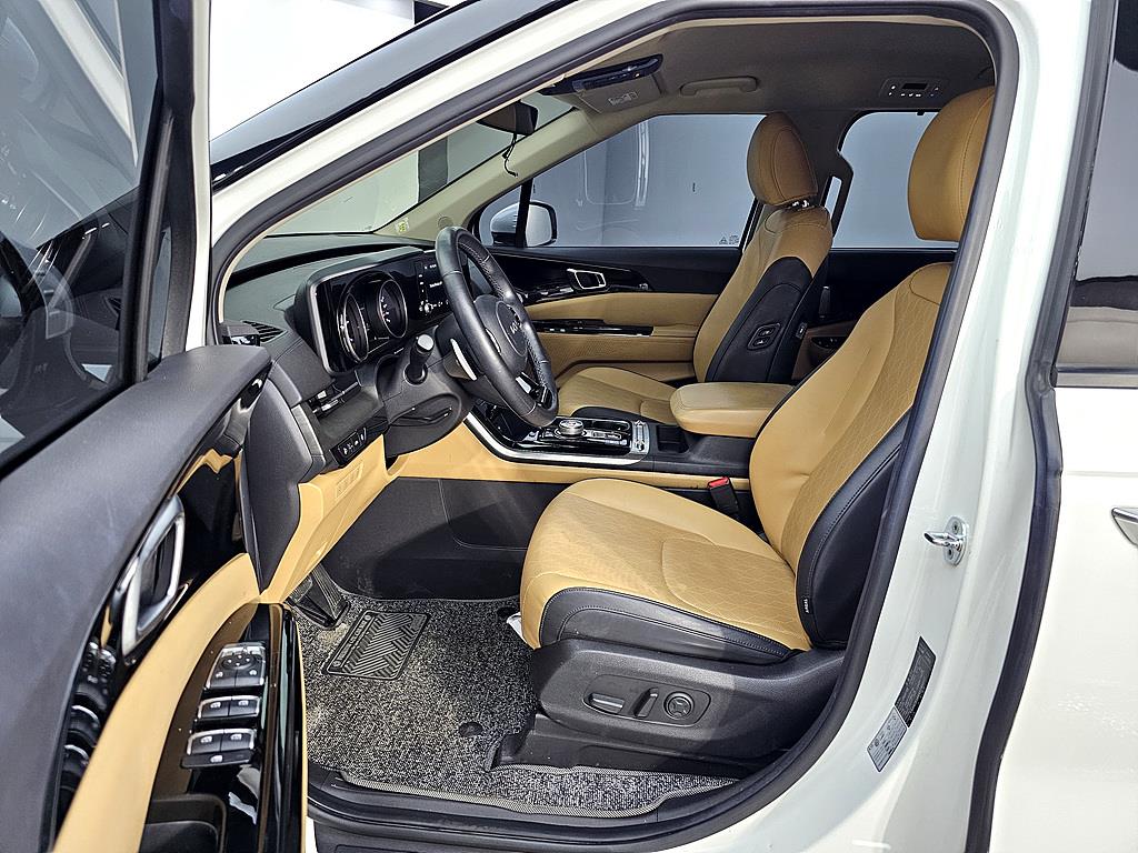 KIA Carnival - Vista 8