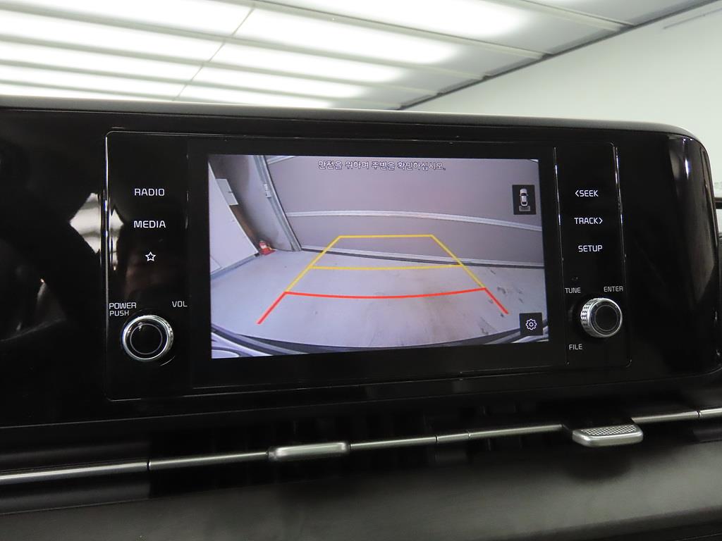 KIA Carnival - Vista 12