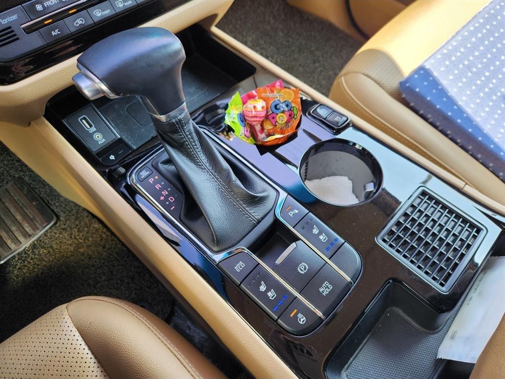 KIA Carnival - Vista 5