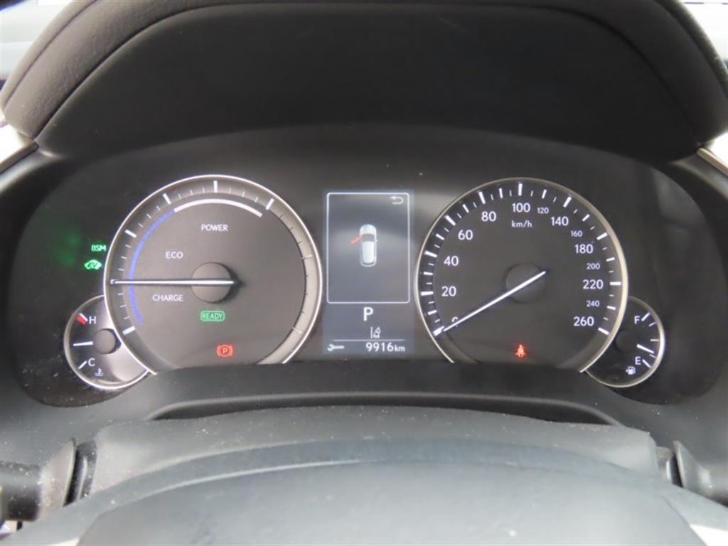 Lexus RX - Vista 9