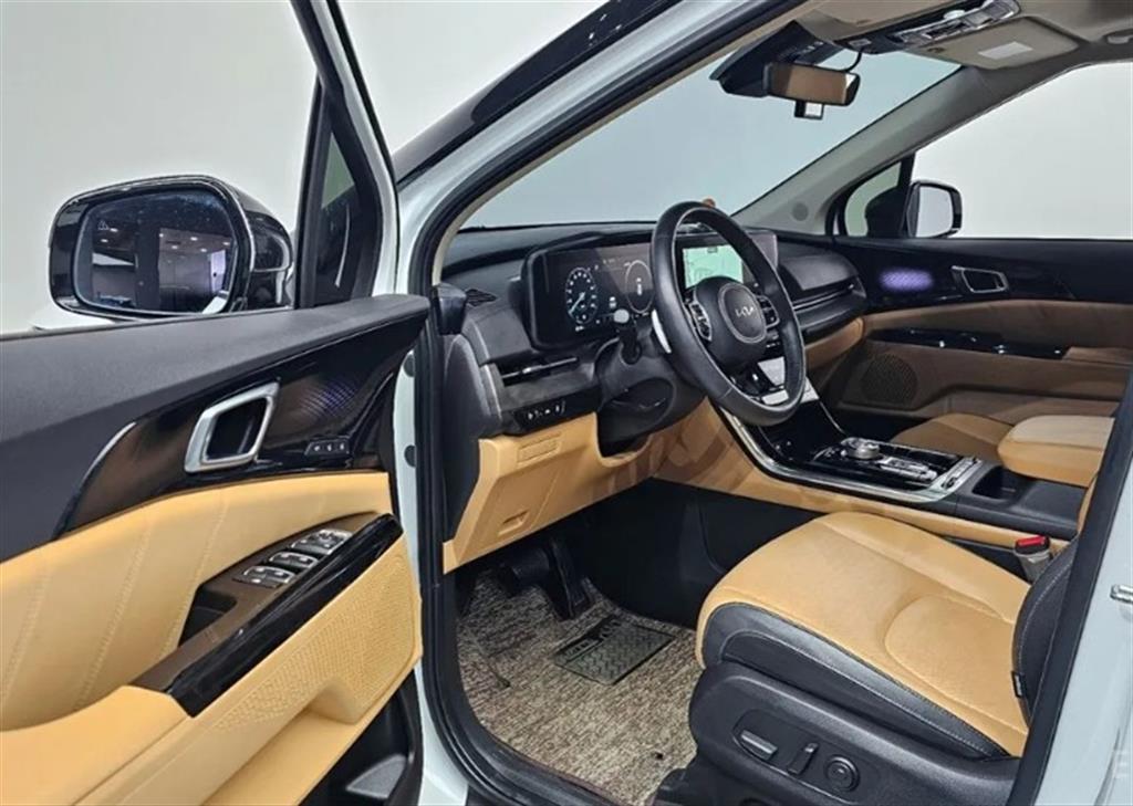 KIA Carnival - Vista 10