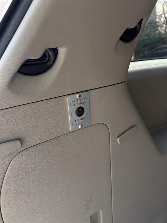 KIA Carnival - Vista 10