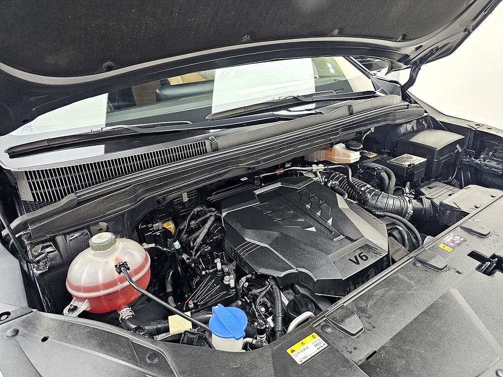 KIA Carnival - Vista 6