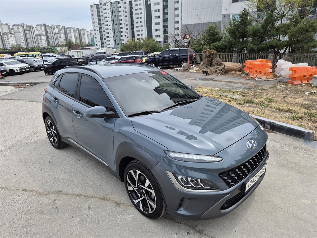 HYUNDAI Kona - Vista 9