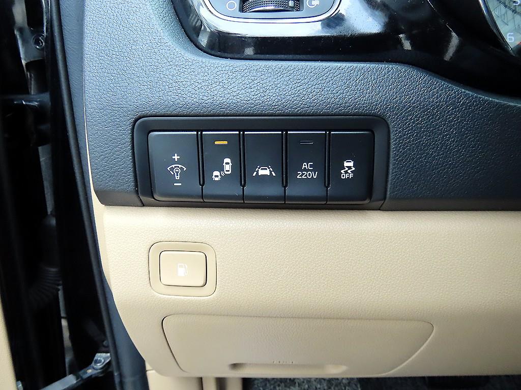 KIA Carnival - Vista 12